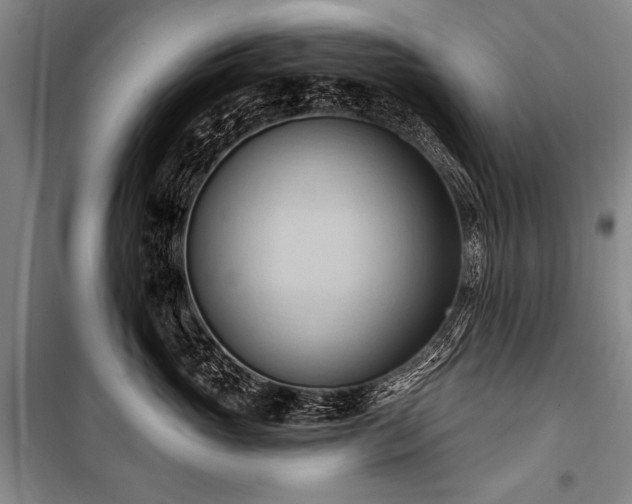 X0000101210765200806271414