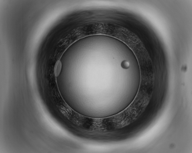 X0000101210766200806271415