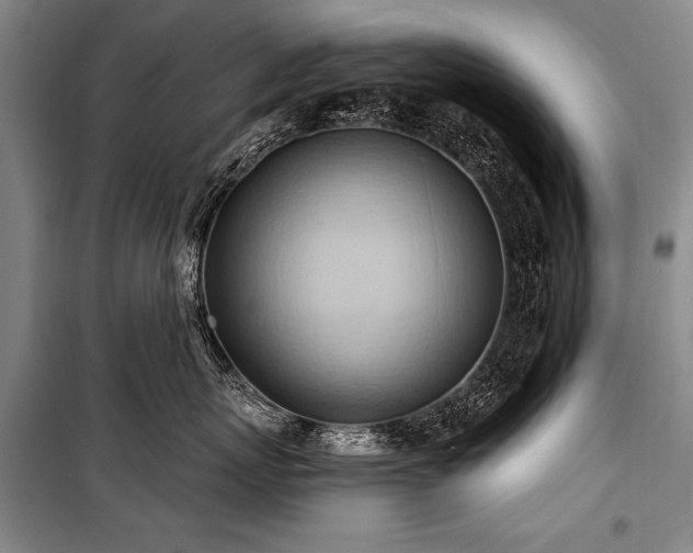 X0000101210767200806271415