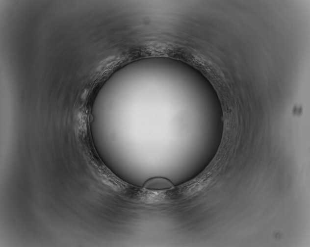 X0000101210768200806271415