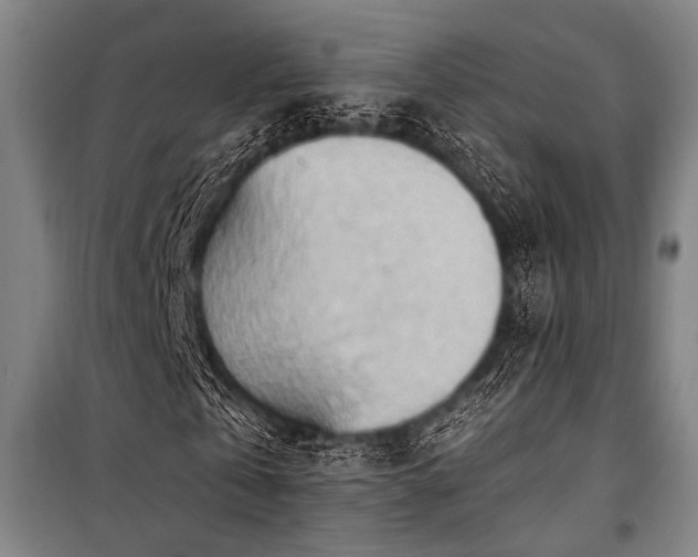 X0000101210769200806271414