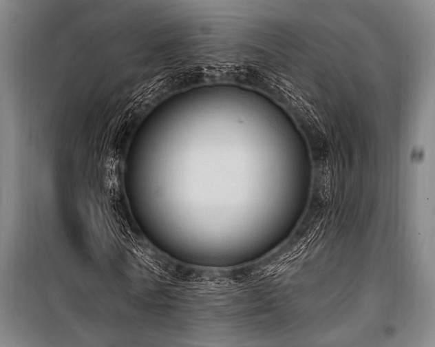 X0000101210770200806271414