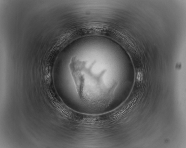 X0000101210771200806271414