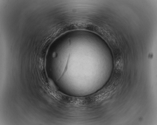 X0000101210772200806271414