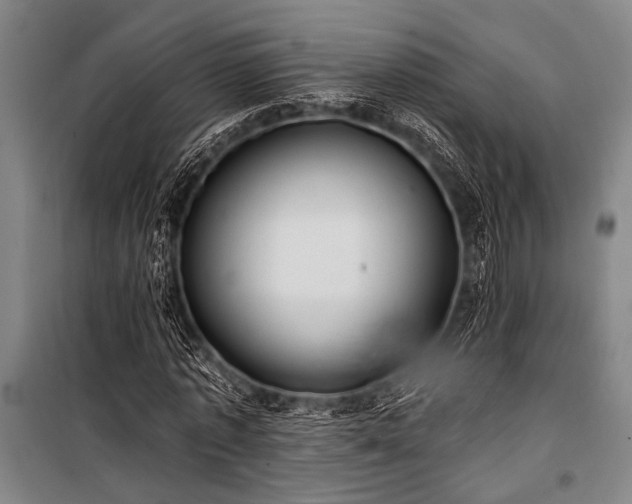 X0000101210773200806271414