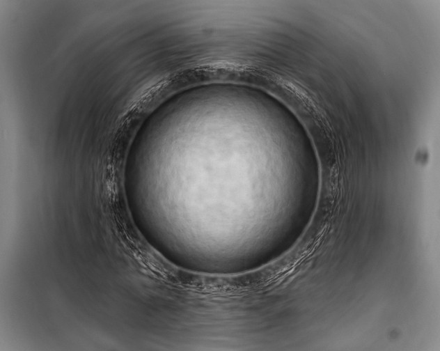 X0000101210774200806271414