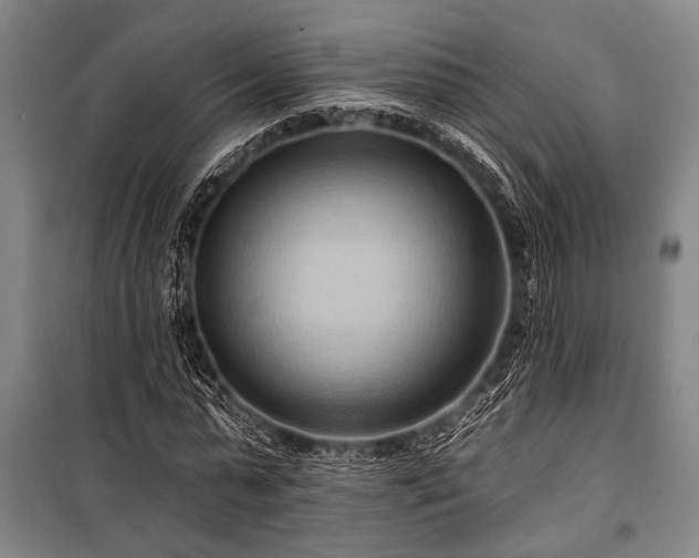 X0000101210775200806271414