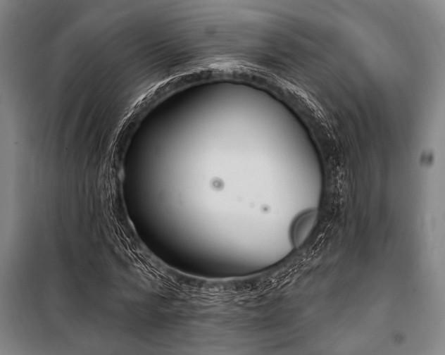 X0000101210776200806271414