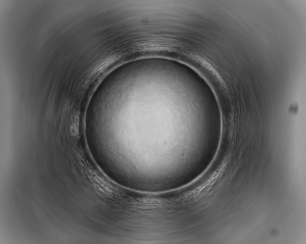 X0000101210777200806271414