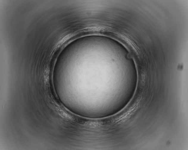 X0000101210778200806271414