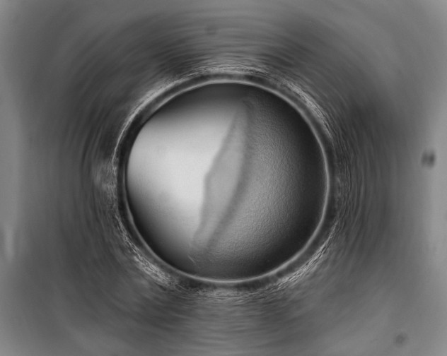 X0000101210779200806271414