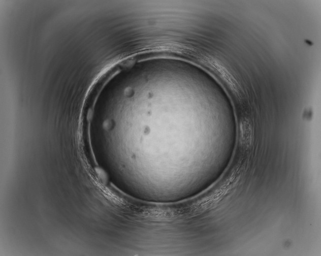 X0000101210780200806271414