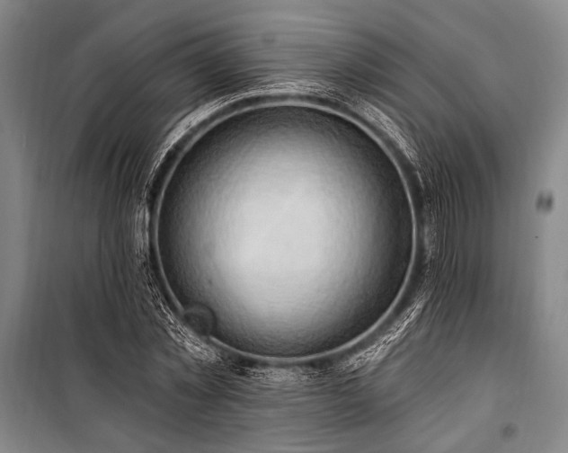 X0000101210781200806271414