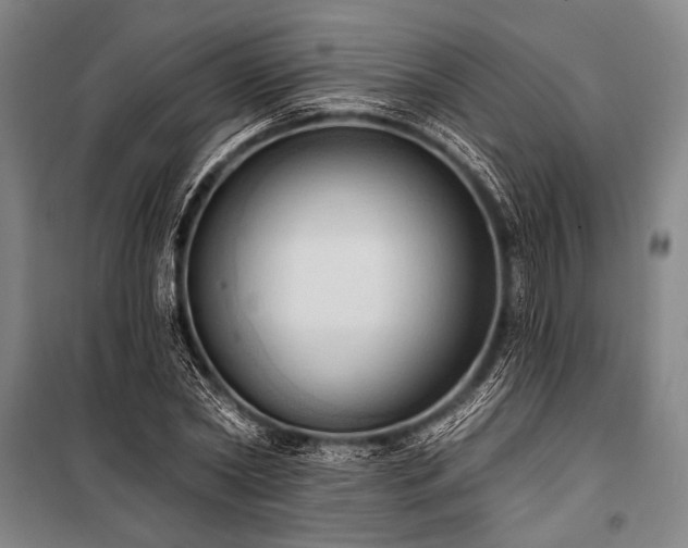 X0000101210782200806271414