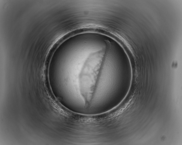 X0000101210783200806271414