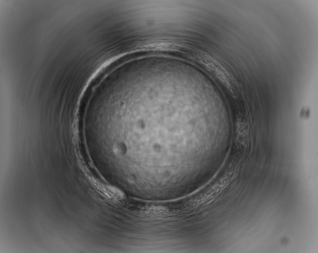 X0000101210784200806271414