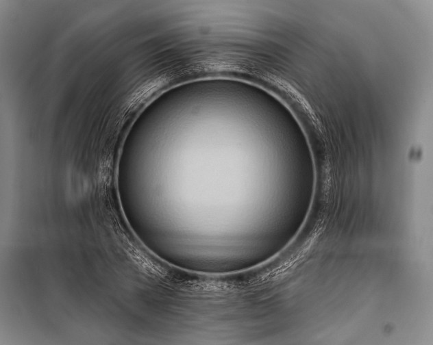 X0000101210785200806271414