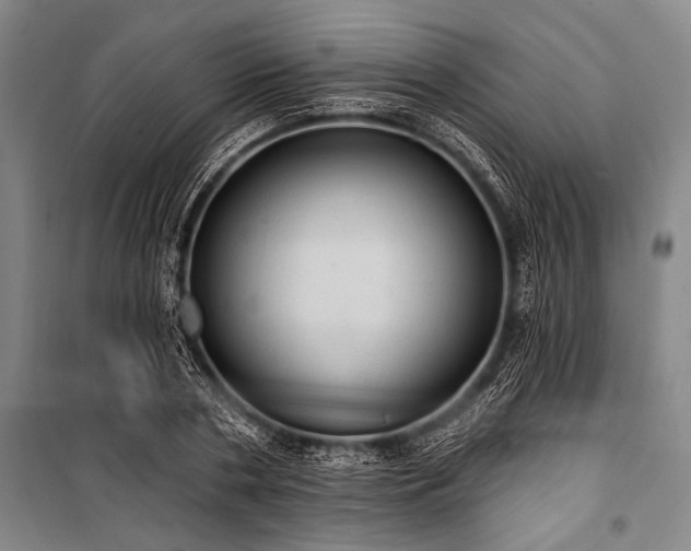 X0000101210786200806271414