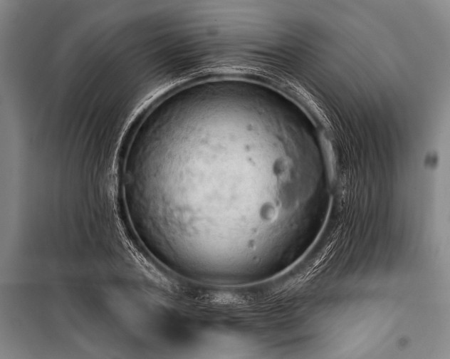 X0000101210787200806271414