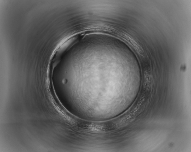 X0000101210788200806271414