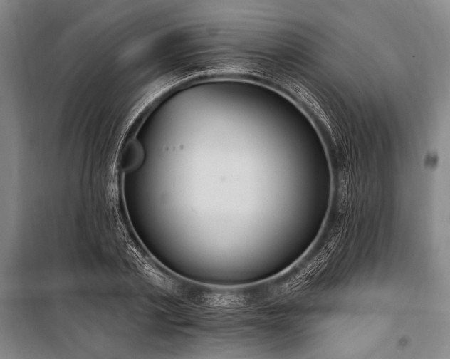 X0000101210789200806271414