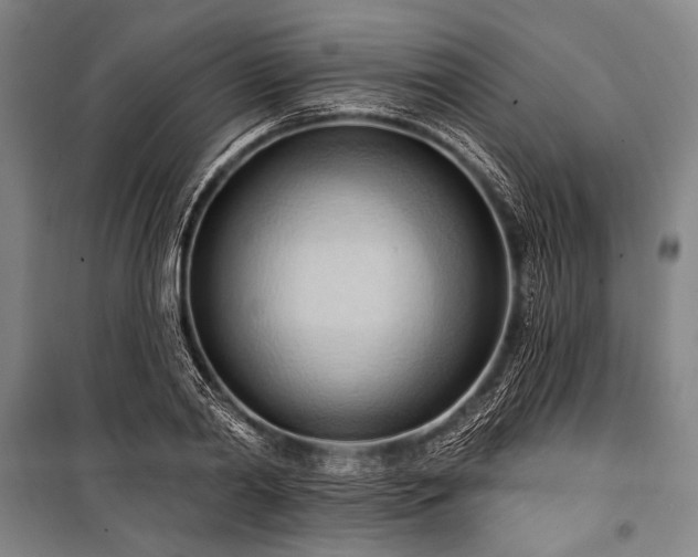 X0000101210790200806271414