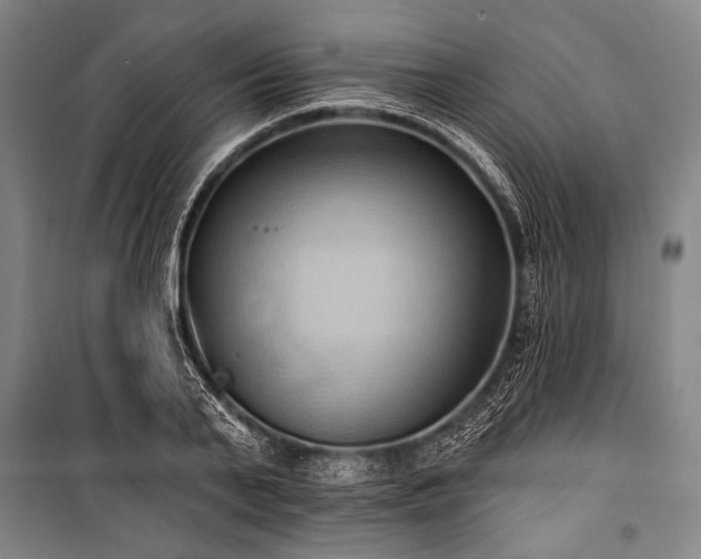 X0000101210791200806271414