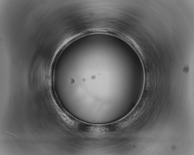 X0000101210795200806271413