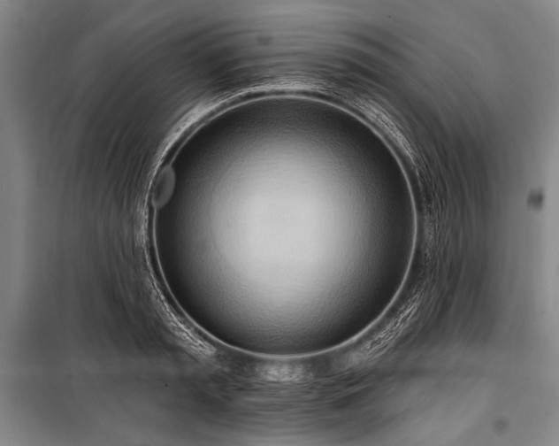 X0000101210797200806271413