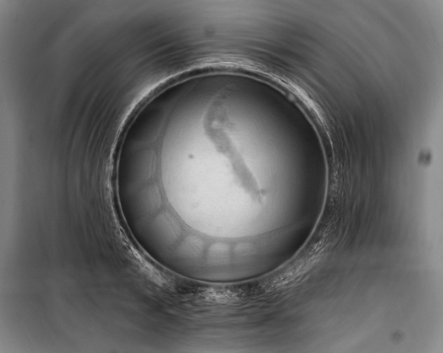 X0000101210799200806271413