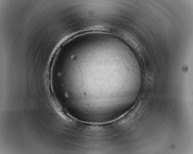 X0000101210800200806271413