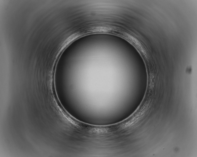 X0000101210802200806271413