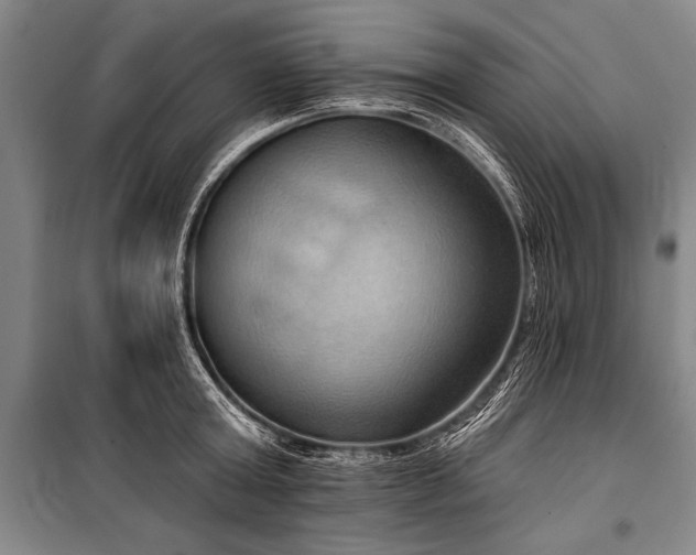 X0000101210803200806271413