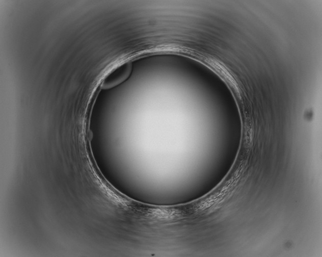 X0000101210805200806271413