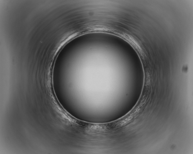 X0000101210806200806271413