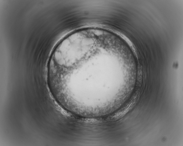 X0000101210807200806271413