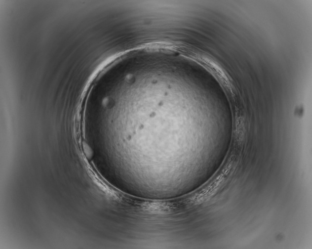 X0000101210808200806271413