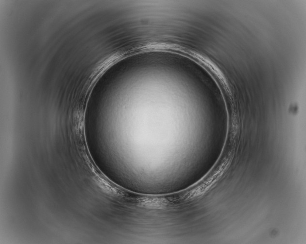 X0000101210809200806271413