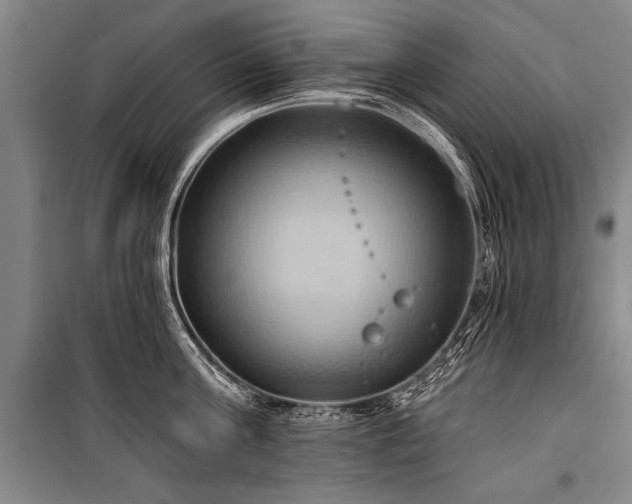 X0000101210811200806271413