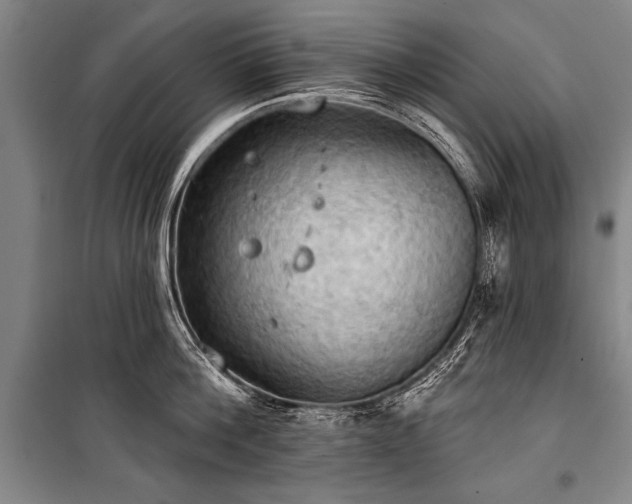 X0000101210812200806271413