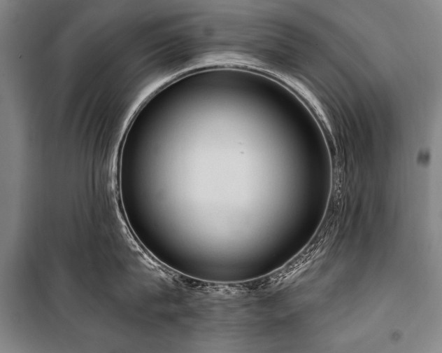 X0000101210815200806271413