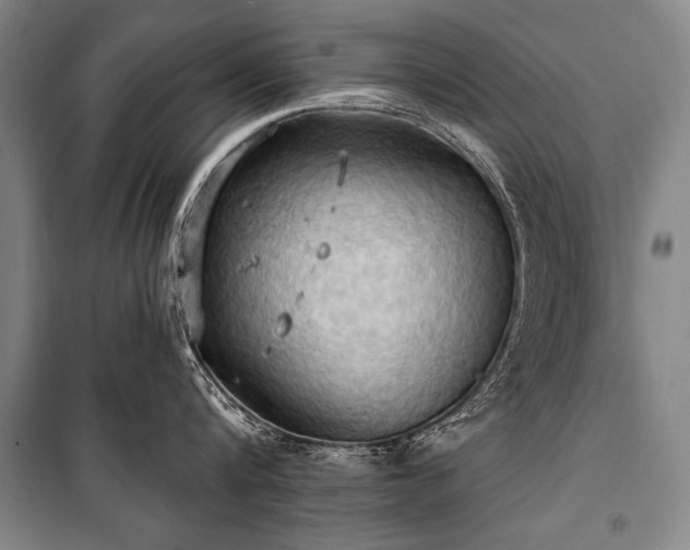 X0000101210816200806271413