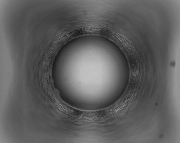 X0000101210817200806271412