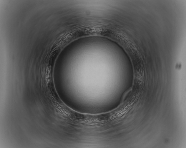 X0000101210818200806271412