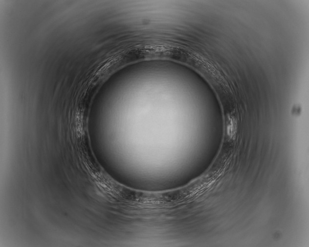 X0000101210819200806271412