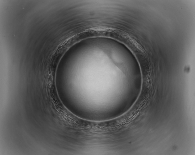 X0000101210821200806271412
