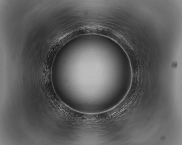 X0000101210822200806271412