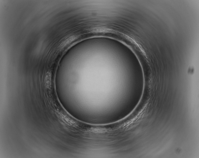 X0000101210825200806271412