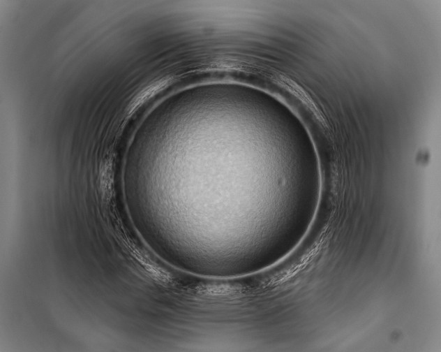 X0000101210826200806271412
