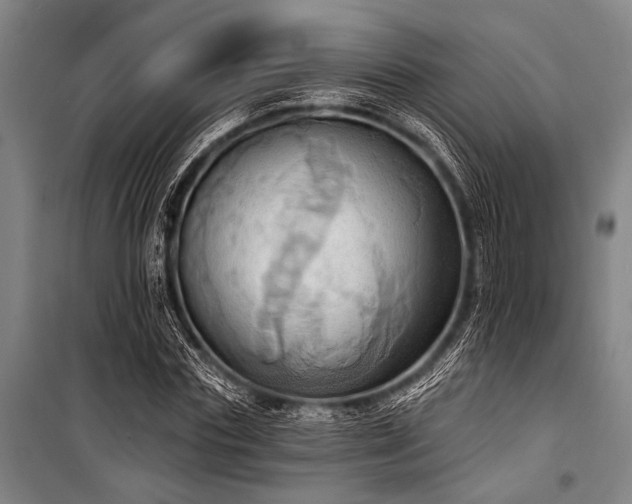 X0000101210827200806271412
